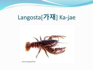 Langosta[가재] Ka-jae
 
