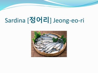 Sardina [정어리] Jeong-eo-ri
 