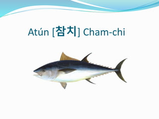 Atún [참치] Cham-chi
 