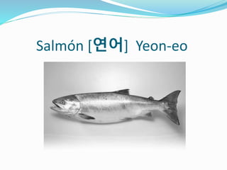 Salmón [연어] Yeon-eo
 