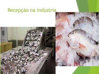 Recepção na indústria
 