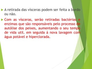  A retirada das vísceras podem ser feita a bordo
ou não.
 Com as vísceras, serão retiradas bactérias e
enzimas que são responsáveis pelo processo de
autólise dos peixes, aumentando o seu tempo
de vida util. em seguida á nova lavagem com
água potável e hiperclorada.
 