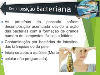 As proteínas do pescado sofrem
decomposição acentuada devido à ação
das bactérias com a formação de grande
número de compostos tóxicos e fétidos;
Contaminação por bactérias do intestino,
das brânquias ou da pele;
Inicia-se após a autólise,(Morte
celular não programada).
.
 