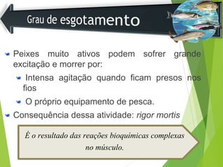 Peixes muito ativos podem sofrer grande
excitação e morrer por:
Intensa agitação quando ficam presos nos
fios
O próprio equipamento de pesca.
Consequência dessa atividade: rigor mortis
É o resultado das reações bioquímicas complexas
no músculo.
 