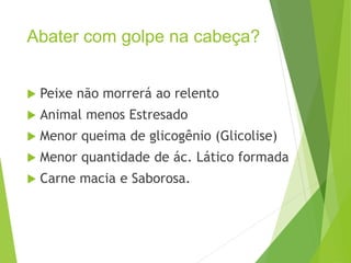 Abater com golpe na cabeça?
 Peixe não morrerá ao relento
 Animal menos Estresado
 Menor queima de glicogênio (Glicolise)
 Menor quantidade de ác. Lático formada
 Carne macia e Saborosa.
 
