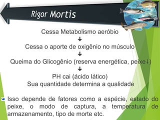 Cessa Metabolismo aeróbio

Cessa o aporte de oxigênio no músculo

Queima do Glicogênio (reserva energética, peixe)

PH cai (ácido lático)
Sua quantidade determina a qualidade
Isso depende de fatores como a espécie, estado do
peixe, o modo de captura, a temperatura de
armazenamento, tipo de morte etc.
 