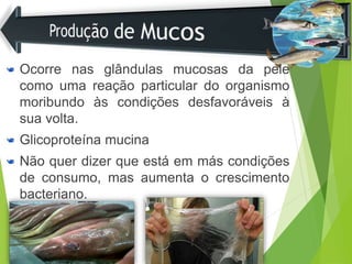 Ocorre nas glândulas mucosas da pele
como uma reação particular do organismo
moribundo às condições desfavoráveis à
sua volta.
Glicoproteína mucina
Não quer dizer que está em más condições
de consumo, mas aumenta o crescimento
bacteriano.
 