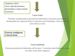 Carne Tenra
Proteínas sarcoplasmáticas parcialmente hidrolisadas, sarcomêros parcialmente
desintegrados por ruptura de discos Z, proteínas muito hidratadas e fáceis de extrair,
carne elástica e tenra.
Carne autolizada
Proteínas parcialmente hidrolisadas, pH de aprox. 7, proteínas muito hidratadas e fáceis
de extrair, carne mole e pegajosa.
Enzimas endógenas
e bacterianas
Catepsinas, Cálcio
Ativa a ação das proteases,
glicuronidase e outras enzimas
lisossomais
 
