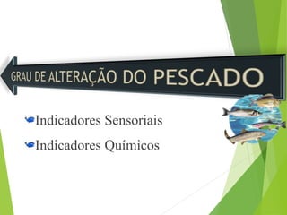 Indicadores Sensoriais
Indicadores Químicos
 