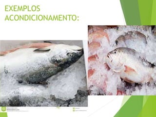 EXEMPLOS
ACONDICIONAMENTO:
 