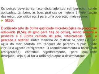 Os peixes deverão ser acondicionado sob refrigeração, sendo
aplicadas, também, as boas práticas de higiene ( higienização
das mãos, utensílios etc.) para uma operação mais segura.
 GELO:
É utilizado gelo de ótima qualidade microbiológica na proporção
adequada (0,5Kg de gelo para 1Kg de peixe), sendo sempre a
primeira e a ultima camada de gelo, intercaladas com o
pescado a resfriar. Outra maneira de resfriar os peixes é usar
agua do mar contida em tanques de paredes duplas, onde
circula o agente refrigerante. O acondicionamento a bordo (sob
refrigeração) contribui significamente, para qualidade
desejada, seja qual for a utilização após o desembarque
 