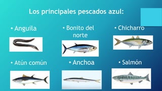 Los principales pescados azul:
• Anguila
• Atún común
• Bonito del
norte
• Anchoa
• Chicharro
• Salmón
 