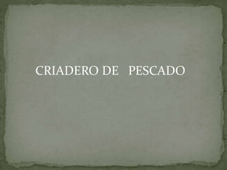 CRIADERO DE PESCADO
 