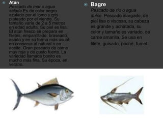  Bagre
Pescado de río o agua
dulce. Pescado alargado, de
piel lisa o viscosa, su cabeza
es grande y achatada, su
color y tamaño es variado, de
carne amarilla. Se usa en
filete, guisado, poché, fumet.
 Atún
Pescado de mar o agua
salada.Es de color negro
azulado por el lomo y gris
plateado por el vientre. Su
tamaño varía de 2 a 5 metros
en edad adulta. Su piel es lisa.
El atún fresco se prepara en
filetes, emparrillado, braseado,
asado y en su forma más usual:
en conserva al natural o en
aceite. Gran pescado de carne
muy roja y de gusto fuerte. La
variedad llamada bonito es
mucho más fina. Su época, en
verano.
 