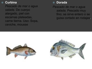 Dorada
Pescado de mar o agua
salada. Pescado muy
fino; se sirve entero o se
guisa cortado en rodajas.
 Curbina
Pescado de mar o agua
salada. De cuerpo
alargado, piel con
escamas plateadas,
carne tierna. Uso: Sopa,
ceviche, mousse
 