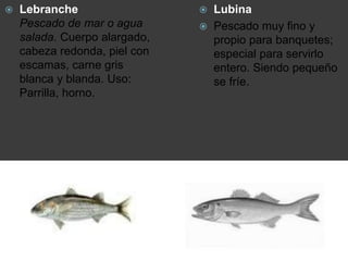  Lubina
 Pescado muy fino y
propio para banquetes;
especial para servirlo
entero. Siendo pequeño
se fríe.
 Lebranche
Pescado de mar o agua
salada. Cuerpo alargado,
cabeza redonda, piel con
escamas, carne gris
blanca y blanda. Uso:
Parrilla, horno.
 