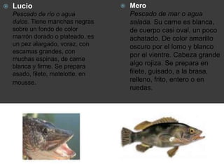  Mero
Pescado de mar o agua
salada. Su carne es blanca,
de cuerpo casi oval, un poco
achatado. De color amarillo
oscuro por el lomo y blanco
por el vientre. Cabeza grande
algo rojiza. Se prepara en
filete, guisado, a la brasa,
relleno, frito, entero o en
ruedas.
 Lucio
Pescado de río o agua
dulce. Tiene manchas negras
sobre un fondo de color
marrón dorado o plateado, es
un pez alargado, voraz, con
escamas grandes, con
muchas espinas, de carne
blanca y firme. Se prepara
asado, filete, matelotte, en
mousse.
 