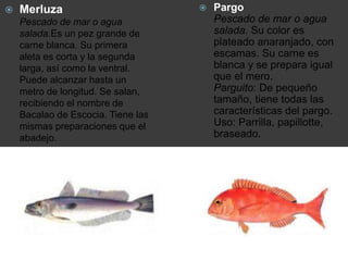  Pargo
Pescado de mar o agua
salada. Su color es
plateado anaranjado, con
escamas. Su carne es
blanca y se prepara igual
que el mero.
Parguito: De pequeño
tamaño, tiene todas las
características del pargo.
Uso: Parrilla, papillotte,
braseado.
 Merluza
Pescado de mar o agua
salada.Es un pez grande de
carne blanca. Su primera
aleta es corta y la segunda
larga, así como la ventral.
Puede alcanzar hasta un
metro de longitud. Se salan,
recibiendo el nombre de
Bacalao de Escocia. Tiene las
mismas preparaciones que el
abadejo.
 