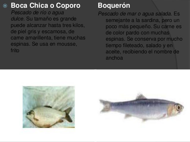 Pescados Y Mariscos