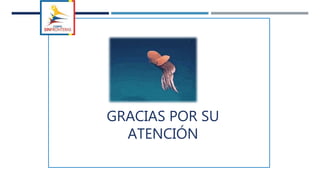 GRACIAS POR SU
ATENCIÓN
 