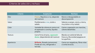 Pescados y Mariscos.pdf