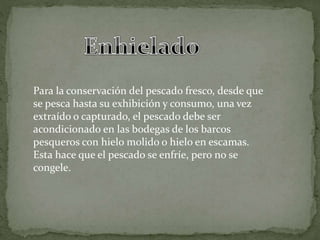 Para la conservación del pescado fresco, desde que
se pesca hasta su exhibición y consumo, una vez
extraído o capturado, el pescado debe ser
acondicionado en las bodegas de los barcos
pesqueros con hielo molido o hielo en escamas.
Esta hace que el pescado se enfríe, pero no se
congele.
 