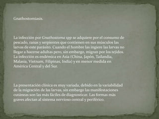 Gnathostomiasis.
La infección por Gnathostoma spp se adquiere por el consumo de
pescado, ranas y serpientes que contienen en sus músculos las
larvas de este parásito. Cuando el hombre las ingiere las larvas no
llegar a hacerse adultas pero, sin embargo, migran por los tejidos.
La infección es endémica en Asia (China, Japón, Tailandia,
Malasia, Vietnam, Filipinas, India) y en menor medida en
América Central y del Sur.
La presentación clínica es muy variada, debido en la variabilidad
de la migración de las larvas, sin embargo las manifestaciones
cutáneas son las más fáciles de diagnosticar. Las formas más
graves afectan al sistema nervioso central y periférico.
 