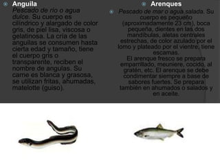  Anguila
Pescado de río o agua
dulce. Su cuerpo es
cilíndrico y alargado de color
gris, de piel lisa, viscosa o
gelatinosa. La cría de las
anguilas se consumen hasta
cierta edad y tamaño, tiene
el cuerpo gris o
transparente, reciben el
nombre de angulas. Su
carne es blanca y grasosa,
se utilizan fritas, ahumadas,
matelotte (guiso).
 Arenques
 Pescado de mar o agua salada. Su
cuerpo es pequeño
(aproximadamente 23 cm), boca
pequeña, dientes en las dos
mandíbulas, aletas centrales
estrechas, de color azulado por el
lomo y plateado por el vientre, tiene
escamas.
El arenque fresco se prepara
emparrillado, meuniere, cocido, al
gratén, etc. El arenque se debe
condimentar siempre a base de
sabores fuertes. Se prepara
también en ahumados o salados y
en aceite.
 