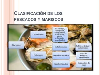 CLASIFICACIÓN DE LOS
PESCADOS Y MARISCOS
 
