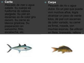  Carite
Pescado de mar o agua
salada. Su cuerpo es
fusiforme de cabeza
alargada. Su piel sin
escamas es de color gris
oscuro. Su carne es
blanca grisácea. Su
preparación en
sancocho, frito,
escabeche, etc.
 Carpa
Pescado de río o agua
dulce. Es un pez que puede
vivir muchos años, logra
alcanzar un peso de veinte
kilos, de piel con escamas
de color variado, su carne
es firme, rosada, con
muchas espinas. Se utilizan
en filete, braseado, relleno.
 