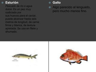 Gallo
 Algo parecido al lenguado,
pero mucho menos fino.
 Esturión
Pescado de río o agua
dulce. Es un pez muy
codiciado por
sus huevos para el caviar,
puede alcanzar hasta seis
metros de longitud, de carne
firme y blanca, de textura
apretada. Se usa en filete y
ahumado.
 