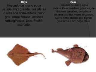 Rape
Pescado de mar o agua
salada. Color avellana grisácea, de
distintos tamaños, de cabeza
enorme casi dos veces el cuerpo.
Carne firme blanca, piel blanda
gelatinosa. Uso: Sopa, filete.
Raya
Pescado de mar o agua
salada. Pez grande, sus aletas
o alas son comestibles, color
gris, carne fibrosa, espinas
cartilaginosas. Uso: Poché,
estofado.
 