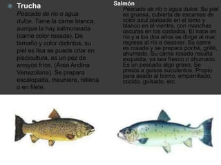 Salmón
Pescado de río o agua dulce. Su piel
es gruesa, cubierta de escamas de
color azul plateado en el lomo y
blanco en el vientre, con manchas
oscuras en los costados. El nace en
río y a los dos años se dirige al mar,
regresa al río a desovar. Su carne
es rosada y se prepara poché, grillé,
ahumado. Su carne rosada resulta
exquisita, ya sea fresco o ahumado.
Es un pescado algo graso, Se
presta a guisos suculentos. Propio
para asado al horno, emparrillado,
cocido, guisado, etc.
 Trucha
Pescado de río o agua
dulce. Tiene la carne blanca,
aunque la hay salmoneada
(carne color rosada). De
tamaño y color distintos, su
piel es lisa se puede criar en
piscicultura, es un pez de
arroyos fríos. (Área Andina
Venezolana). Se prepara
escalopada, meuniere, rellena
o en filete.
 