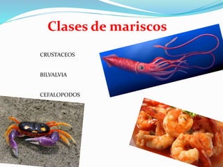 Clases de mariscos
CRUSTACEOS
BILVALVIA
CEFALOPODOS
 