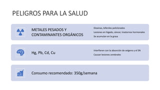 PELIGROS PARA LA SALUD
METALES PESADOS Y
CONTAMINANTES ORGÁNICOS
Dioxinas, bifeniles policlorados
Lesiones en hígado, cáncer, trastornos hormonales
Se acumulan en la grasa
Hg, Pb, Cd, Cu
Interfieren con la absorción de oxígeno y el SN
Causan lesiones cerebrales
Consumo recomendado: 350g/semana
 