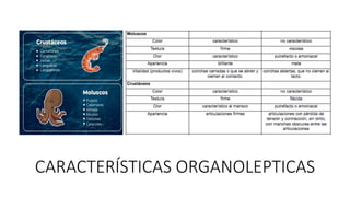 CARACTERÍSTICAS ORGANOLEPTICAS
 