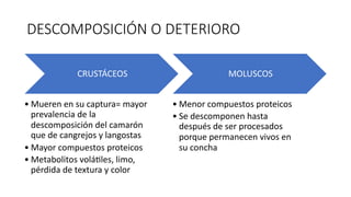 DESCOMPOSICIÓN O DETERIORO
CRUSTÁCEOS
• Mueren en su captura= mayor
prevalencia de la
descomposición del camarón
que de cangrejos y langostas
• Mayor compuestos proteicos
• Metabolitos voláCles, limo,
pérdida de textura y color
MOLUSCOS
• Menor compuestos proteicos
• Se descomponen hasta
después de ser procesados
porque permanecen vivos en
su concha
 