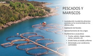 PESCADOS Y
MARISCOS
• La producción mundial de alimentos
acuícolas se ha incrementado en los
últimos años.
• Explotación de litorales
• Aprovechamiento de ríos y lagos
• Piscifactorías o acuacultura
• Trucha, salmón, tilapia, carpas,
ostras, camarón, etc.
• Criado hasta un estado uniforme
• Alimentado y con condiciones
controladas
 