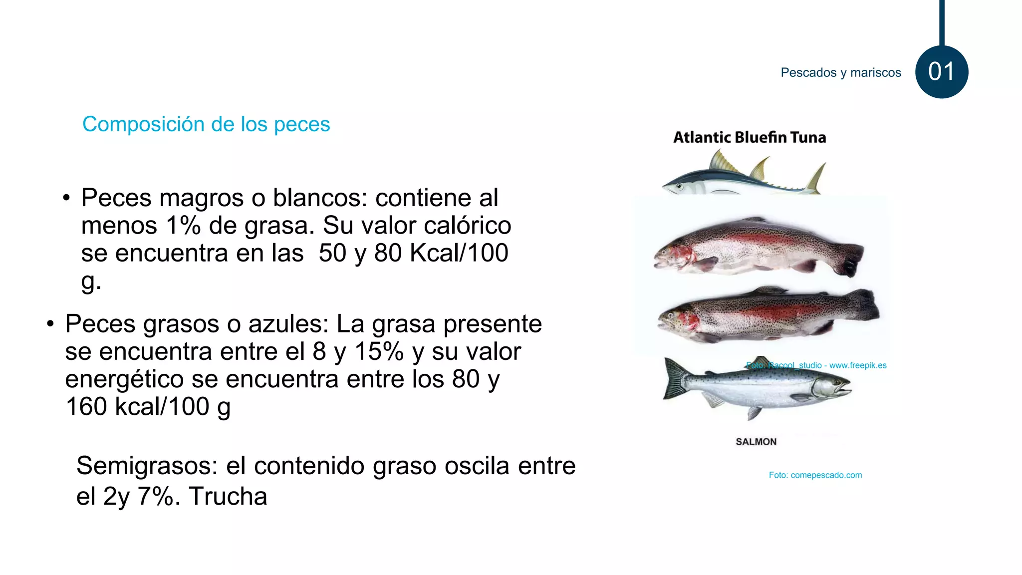 Composición de alimentos: Pescados y mariscos. Definición y Composición ...