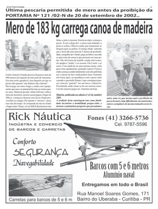 Jornal Pesca Ecologia

Carlos Antonio Grando pescava há pouco mais de
400 metros do trapiche do mercado de Antonina.
Era uma noite agradável, mas daquela em que os
peixes não querem “sair debaixo das cobertas”.
Havia pego um único bagre e ainda com equipamento que usou no pantanal há mais ou menos quatro anos. Material pesado, linha 0,60 mm velha e
cheia de memória, mesmo assim pegou o bagre de
500 g e começou a brincar com ele no fundo provocando os colegas. De repente o “enrosco”, puxa
mas não dá tempo. Se arrepende de não ter tirado
o bagre antes. Pensa, vai ser difícil desenroscar esta

22

linha, o jeito é estourar. Enrola na mão e começa a
puxar. Aí um colega diz: a canoa está andando, a
poita se soltou. Observa então que lentamente se
dirigem para as pedras. O amigo Dedê, sabendo
que o local não tem mais de 3 metros de profundidade, mergulha até o fundo, pega na linha e sua mão
se aproxima do enrosco que presume ser uma pedra. São três horas da manhã e ainda está escuro,
ele apalpa a “pedra” e se assusta. Ela é mole e se
mexe. Com medo de ser uma enorme arraia, volta
para cima rapidamente, gritando é peixe! O peixe
então começa a andar lentamente com eles pela baía
até o clarear do dia e nada podem fazer. Somente
três horas após, ao amanhecer com o peixe mais
cansado e querendo flutuar, é que conseguem passar a âncora “gancho” em sua boca e rebocá-lo.
Percebendo então tratar-se de um enorme mero.
Um dos maiores pegos em Antonina até hoje.
Matéria publicada na edição n° 43 de outubro
2001
A reedição desta reportagem tem como finalidade incentivar a modalidade pesque-solte, e
mostrar o patrimônio pesqueiro que possuiamos

antes, uma vez que mesmo após a proibição da
pesca do mero, hoje dificilmente encontraremos
outros exemplares do mesmo tamanho neste local.

 
