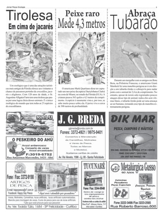 Um zoológico que é uma das atrações turísticas mais antigas da Flórida oferece aos visitantes a
chance de passarem pertinho de crocodilos, jacarés e aligátores. Com 120 anos de idade, o St.
Augustine Alligator Farm tem uma tirolesa que passa por uma lagoa cheia desses animais. É o único
zoológico do mundo que tem todas as 23 espécies
de crocodilianos.

O americano Mark Quartiano disse ter capturado um raro peixe da espécie Dactylobatus Clarkii
na costa de Miami, no estado da Flórida (EUA). A
criatura pesava 363 quilos e 4,3 metros de comprimento. A espécie é raramente vista e, por isso, se
sabe muito pouco sobre ela. O peixe vive a cerca
de 300 metros de profundidade.

Divulgação

4

Divulgação

Divulgação

Jornal Pesca Ecologia

Durante um mergulho com os amigos em Bora
Bora, na Polinésia Francesa, o americano Grant
Murdock fez uma manobra perigosa ao ir em direção a um tubarão-limão e a abraçá-lo para nadar
junto com o animal de 2,4 m de comprimento. No
entanto, apesar de terem sido registrados poucos
ataques desse tipo de animal, todos eles sem vítimas fatais, o tubarão-limão pode ser uma ameaça
ao ser humano, tornando esse tipo de manobra extremamente perigosa.

 