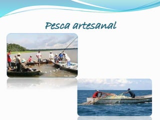 Pesca artesanal
 