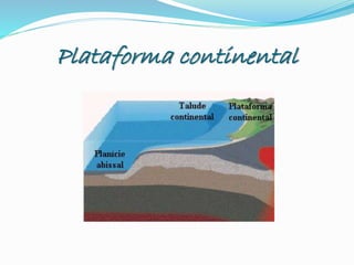 Plataforma continental
 