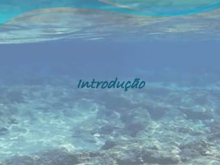 Introdução
 