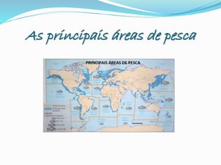 As principais áreas de pesca
 
