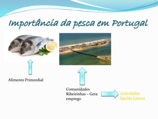 Importância da pesca em Portugal
Alimento Primordial
Comunidades
Ribeirinhas – Gera
emprego
Actividades
ligadas á pesca
 