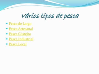 Vários tipos de pesca
 Pesca de Largo
 Pesca Artesanal
 Pesca Costeira
 Pesca Industrial
 Pesca Local
 