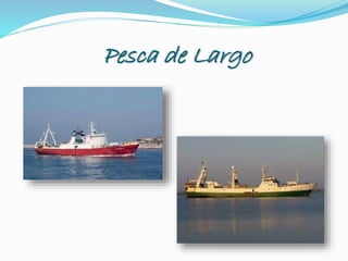 Pesca de Largo
 