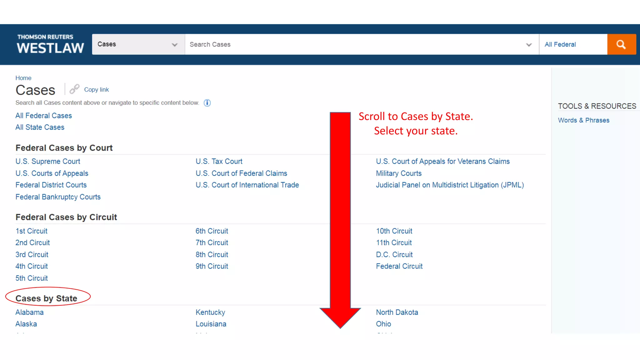 Scroll to Cases by State.
Select your state.
 