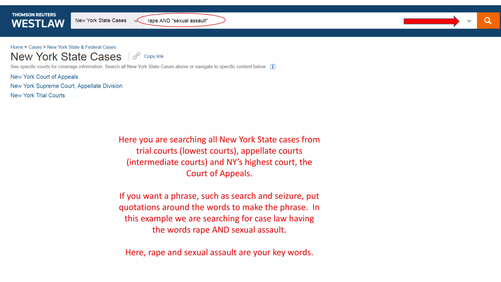 Here you are searching all New York State cases from
trial courts (lowest courts), appellate courts
(intermediate courts) and NY’s highest court, the
Court of Appeals.
If you want a phrase, such as search and seizure, put
quotations around the words to make the phrase. In
this example we are searching for case law having
the words rape AND sexual assault.
Here, rape and sexual assault are your key words.
 